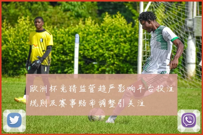欧洲杯竞猜监管趋严影响平台投注规则及赛事赔率调整引关注