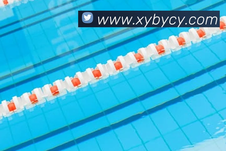 大阳城43335·(China)官方网站入口服务体系